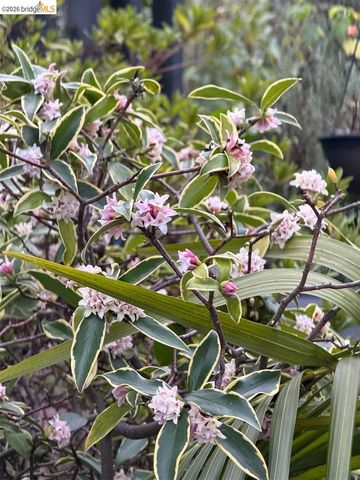 1799 Pomona St, Crockett, CA 94525