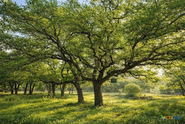 232 Crooked Oak Lane, Round Mountain, TX 78663