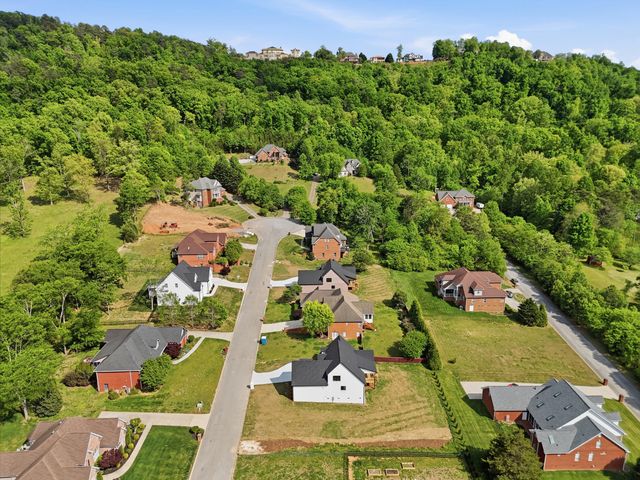 9842 Leslie Sandidge Drive, Ooltewah, TN 37363