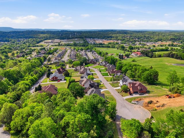 9842 Leslie Sandidge Drive, Ooltewah, TN 37363