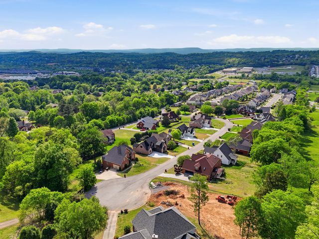 9842 Leslie Sandidge Drive, Ooltewah, TN 37363