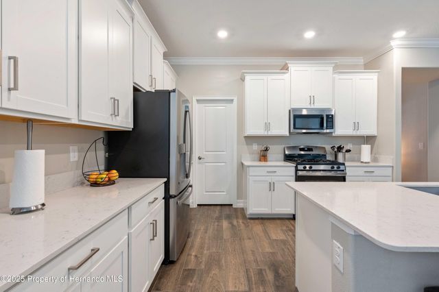 19462 Forest Garden Court, Brooksville, FL 34601