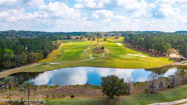 19462 Forest Garden Court, Brooksville, FL 34601