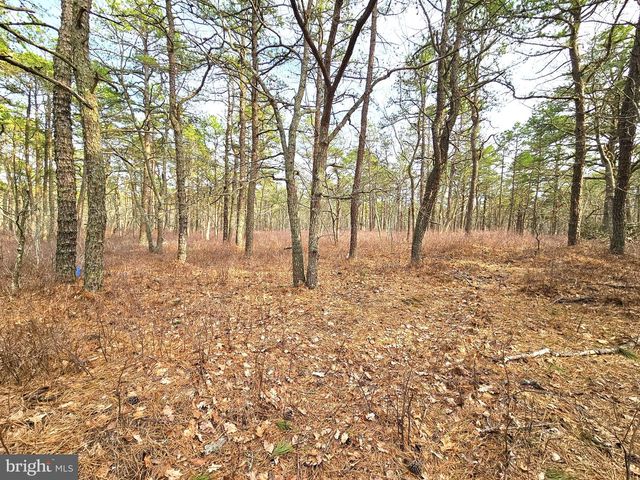 17 BIRCHWOOD DR, Tuckerton, NJ 08087
