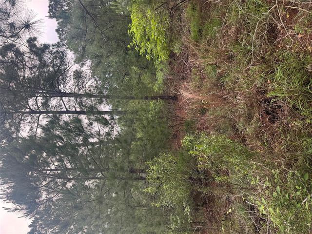 Lots 1490, 1491, 1492, Haleakala, Bastrop, TX 78602