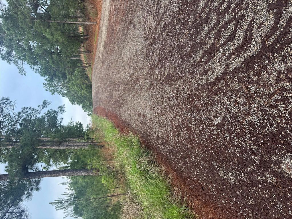 Lots 1490, 1491, 1492, Haleakala, Bastrop, TX 78602