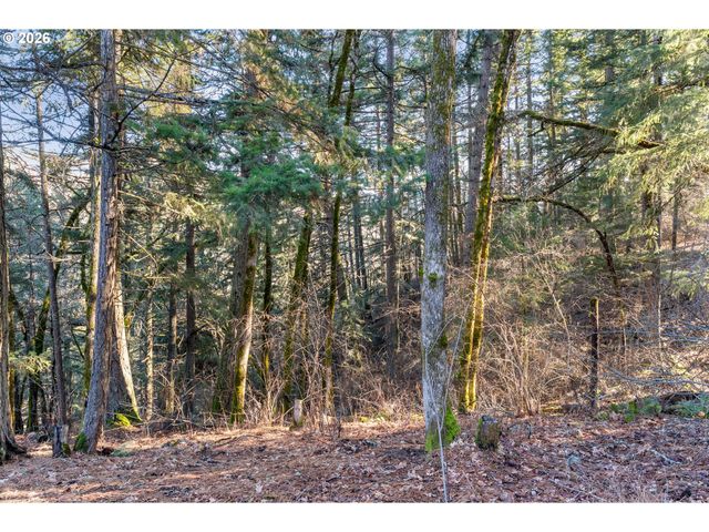 32 HAMILTON Ave, Underwood, WA 98651