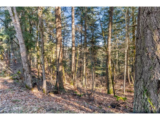 32 HAMILTON Ave, Underwood, WA 98651