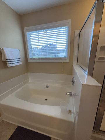 101 WEST BROOK Court, Lexington, SC 29072