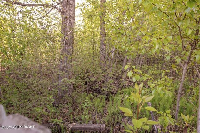 6030 Staedem Drive, Anchorage, AK 99504