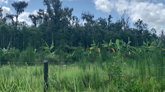 0 SINK HOLE ROAD, Bartow, FL 33830