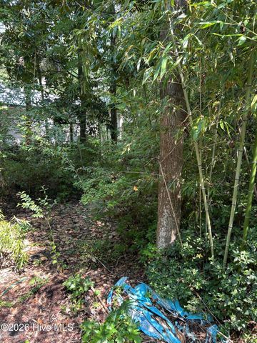 223 Bagley Avenue, Wilmington, NC 28409