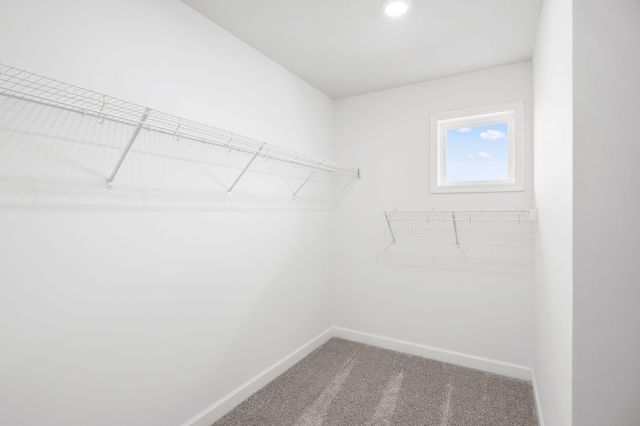 642 Sierra Parkway, Waconia, MN 55387