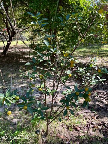 1316 Homestead Boulevard, Gautier, MS 39553