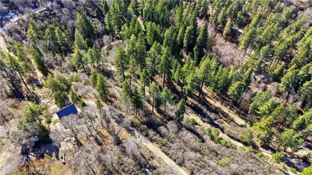 0 Elder, Cedar Glen, CA 92321