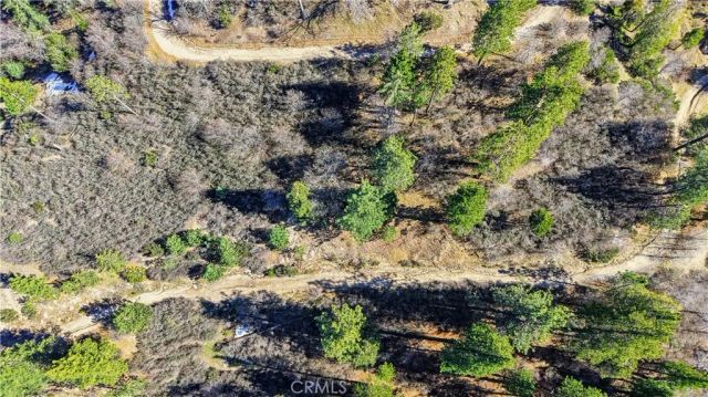 0 Elder, Cedar Glen, CA 92321
