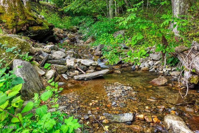 1708 Highway 143 Road, Roan Mountain, TN 37687