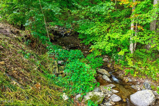 1708 Highway 143 Road, Roan Mountain, TN 37687