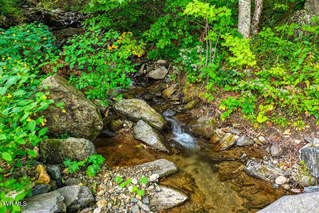 1708 Highway 143 Road, Roan Mountain, TN 37687