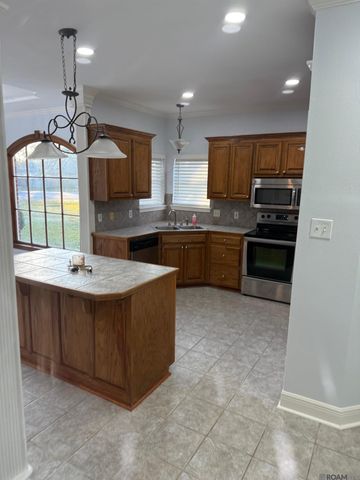 17399 Les Chenier St, Prairieville, LA 70769