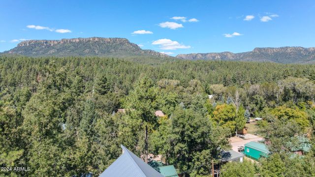 266 W Uphill Drive, Christopher Creek, AZ 85541