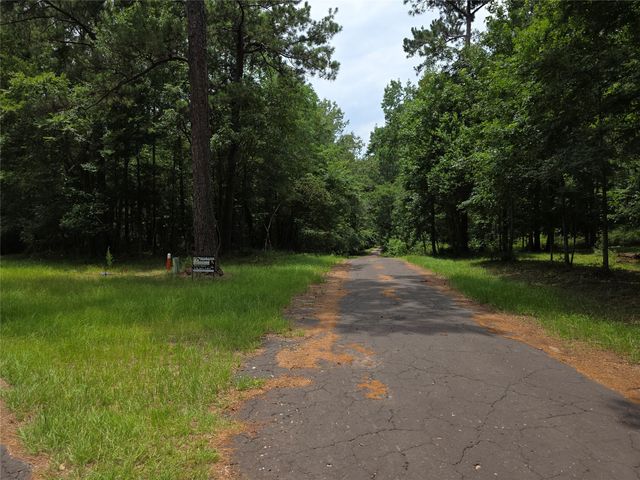 TBD Loper Lake Drive, Livingston, TX 77351