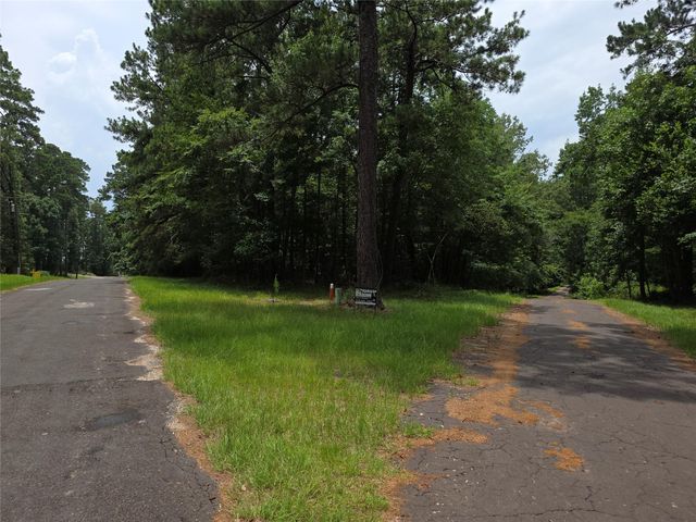 TBD Loper Lake Drive, Livingston, TX 77351