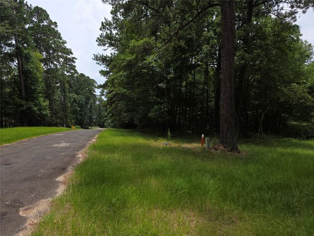 TBD Loper Lake Drive, Livingston, TX 77351