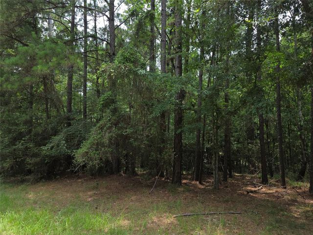TBD Loper Lake Drive, Livingston, TX 77351