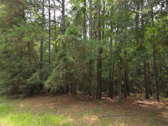 TBD Loper Lake Drive, Livingston, TX 77351