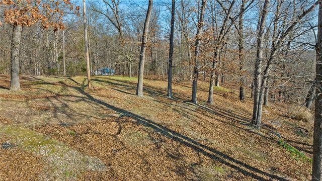 300 Summit Drive, Noel, MO 64854