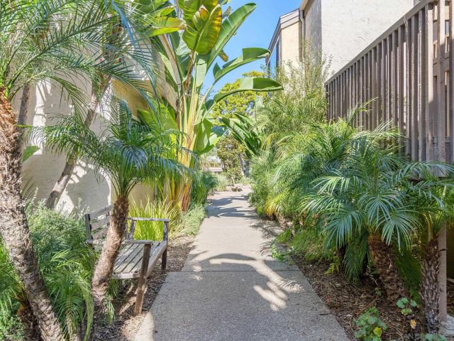 3162 Via Alicante H, La Jolla, CA 92037