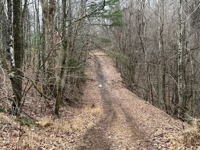 19 Lots Crockett, Hayesville, NC 28904