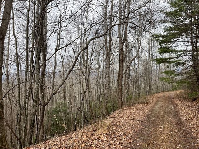 19 Lots Crockett, Hayesville, NC 28904