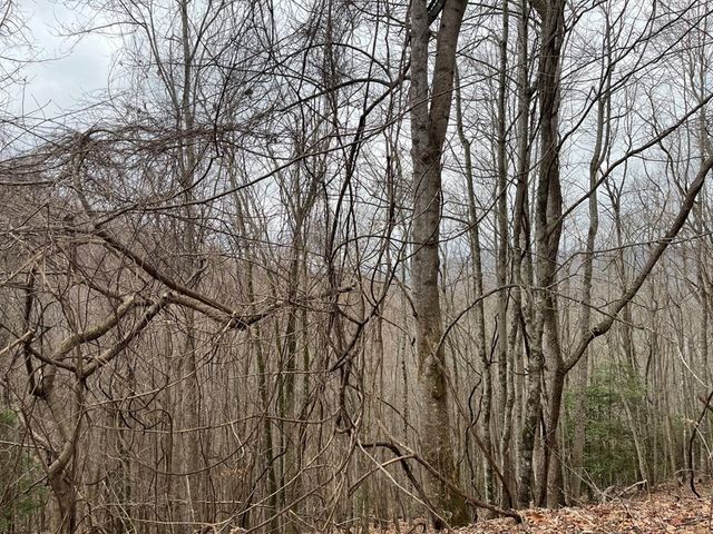 19 Lots Crockett, Hayesville, NC 28904
