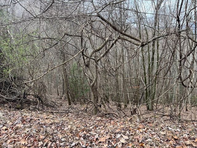 19 Lots Crockett, Hayesville, NC 28904