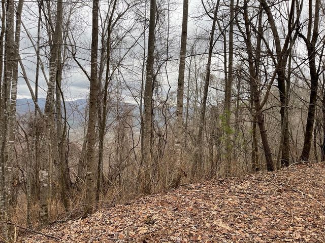19 Lots Crockett, Hayesville, NC 28904