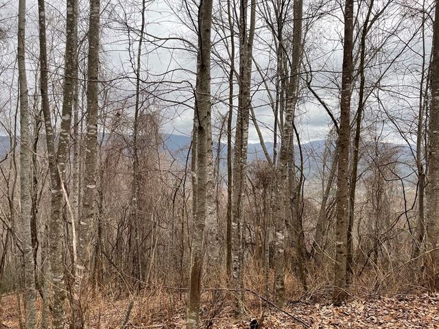 19 Lots Crockett, Hayesville, NC 28904