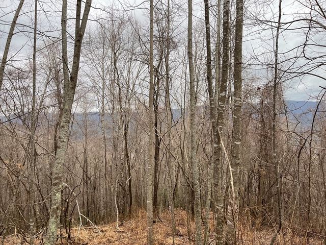 19 Lots Crockett, Hayesville, NC 28904