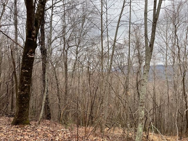 19 Lots Crockett, Hayesville, NC 28904