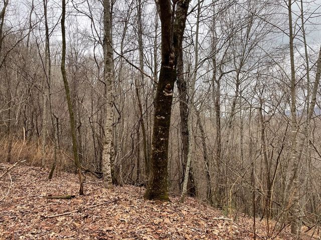 19 Lots Crockett, Hayesville, NC 28904