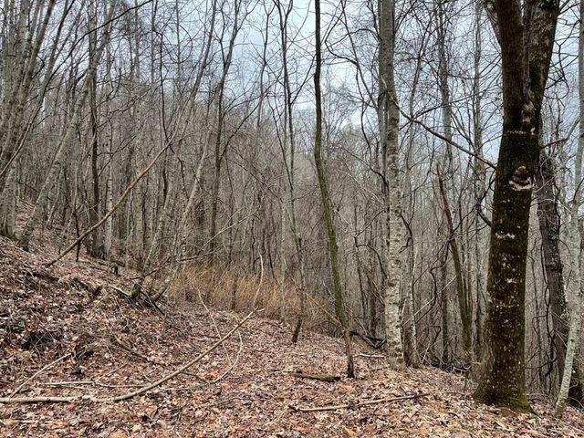 19 Lots Crockett, Hayesville, NC 28904