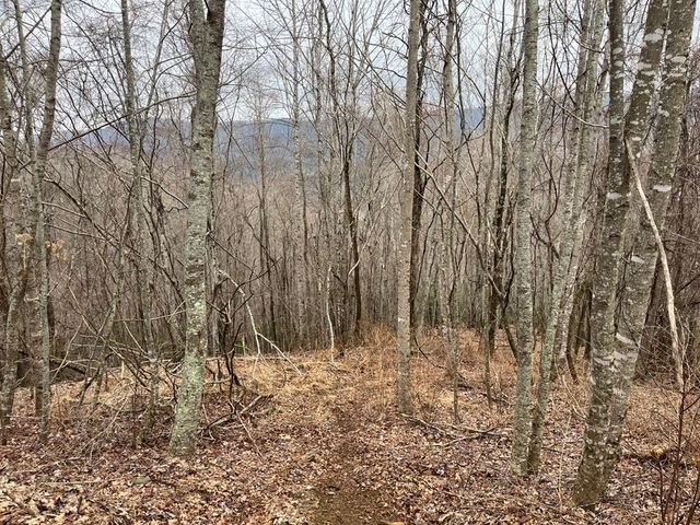 19 Lots Crockett, Hayesville, NC 28904