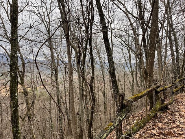 19 Lots Crockett, Hayesville, NC 28904