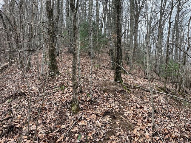 19 Lots Crockett, Hayesville, NC 28904