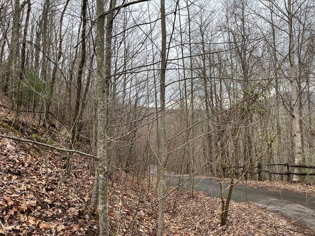 19 Lots Crockett, Hayesville, NC 28904