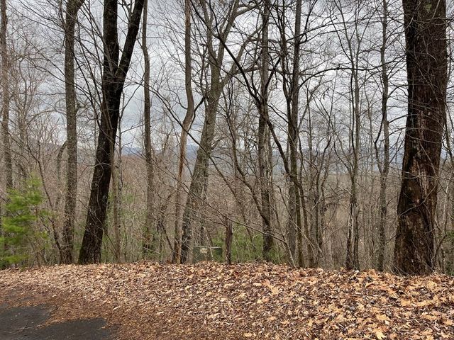 19 Lots Crockett, Hayesville, NC 28904