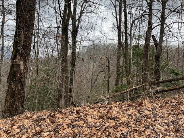 19 Lots Crockett, Hayesville, NC 28904