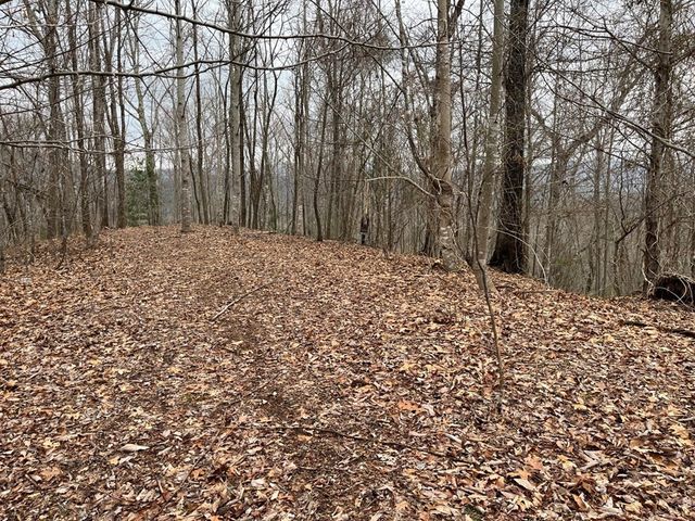 19 Lots Crockett, Hayesville, NC 28904