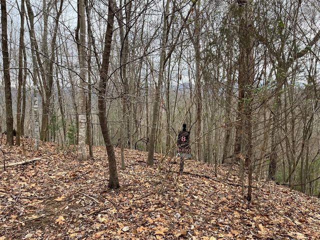 19 Lots Crockett, Hayesville, NC 28904